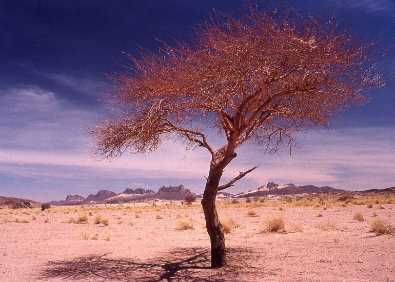 Niger_pres de Tezirzeit_2001