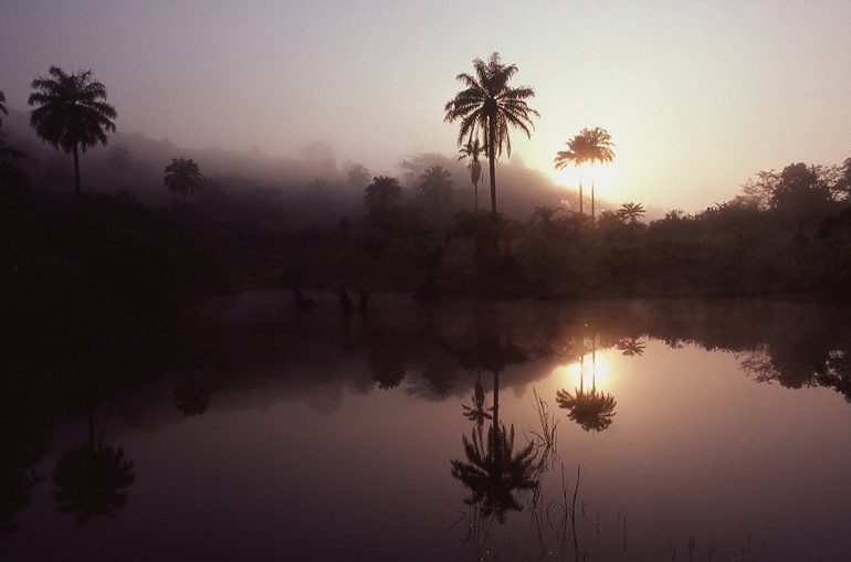 Le paludisme défie la planète