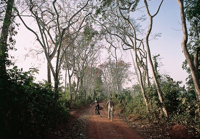 Au royaume des féticheuses