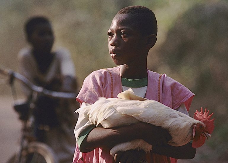 Cote d''Ivoire_Village de Kangandissou_Région Agnis Morofoué_Sur la piste N'Ziankpounou_2000