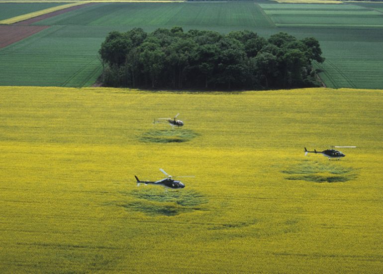 France-Bourgogne-Ballet d'hélicoptères sur champ de colza