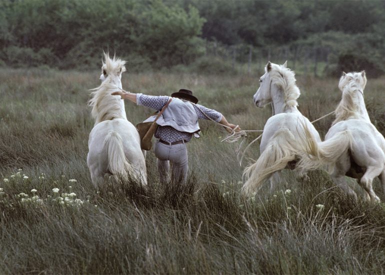 France , camargue.Salins de Giraud