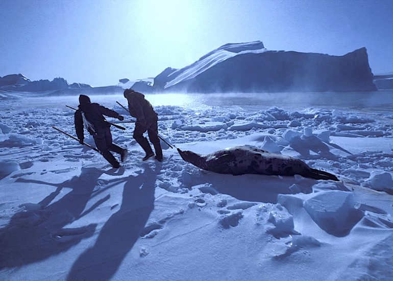 Groenland_region de Jakobshavn_Chasse au phoque_1984