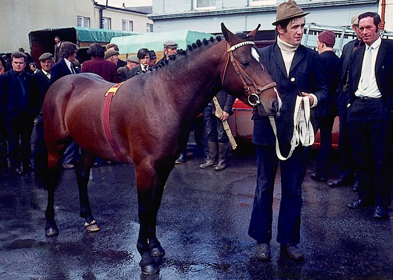 Irlande_Connemara_comte de Galway_Marche aux chevaux a Castelbar_1975
