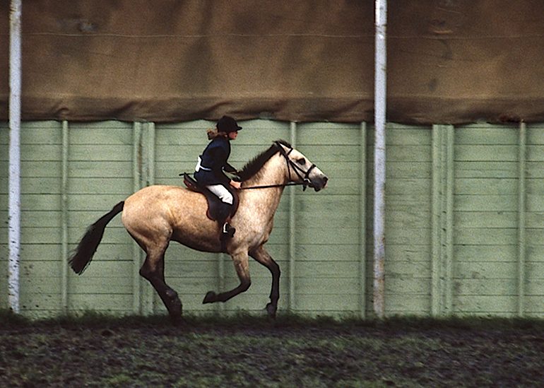 IRLANDE_Horses show à Dublin_1975