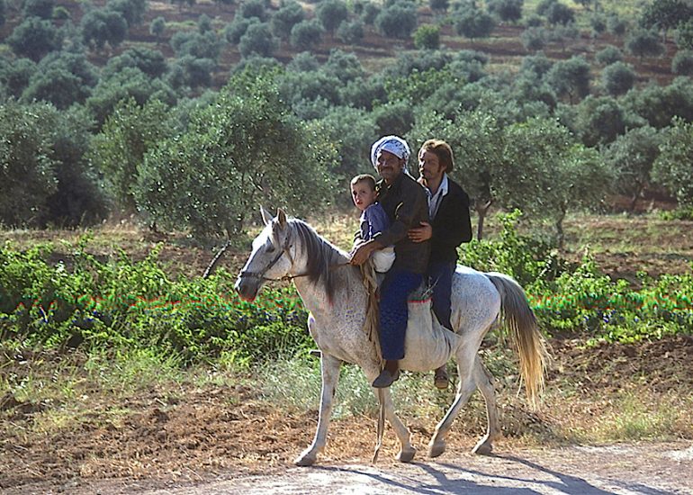 SYRIE_Région d'Aleppe_Darkush_1981