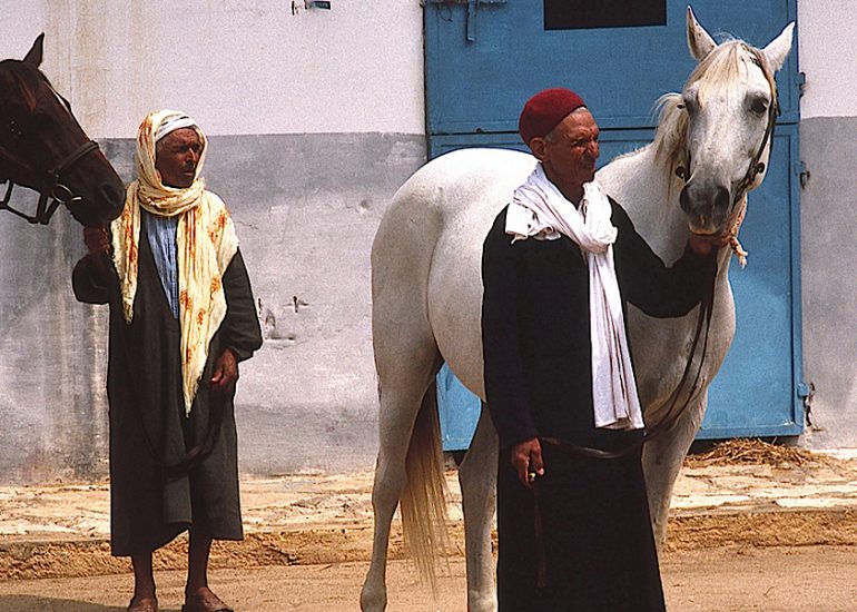 TUNISIE_Rakkada_Cheval Barbe / arabe_FNARC_Remise des prix pour les meilleurs éleveurs_1997