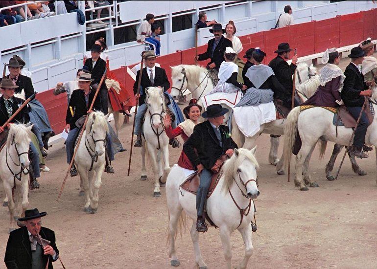 Olivier Martel - Provence: Le pays d'Arles - Guardian