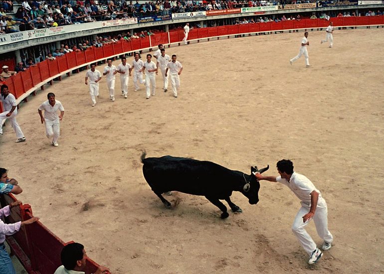 Olivier Martel - Provence - Camargue -Le pays d'Arles - Guardian - Taureaux