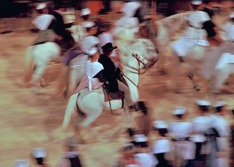 Olivier Martel - Provence - Camargue -Le pays d'Arles - Guardian - Taureaux