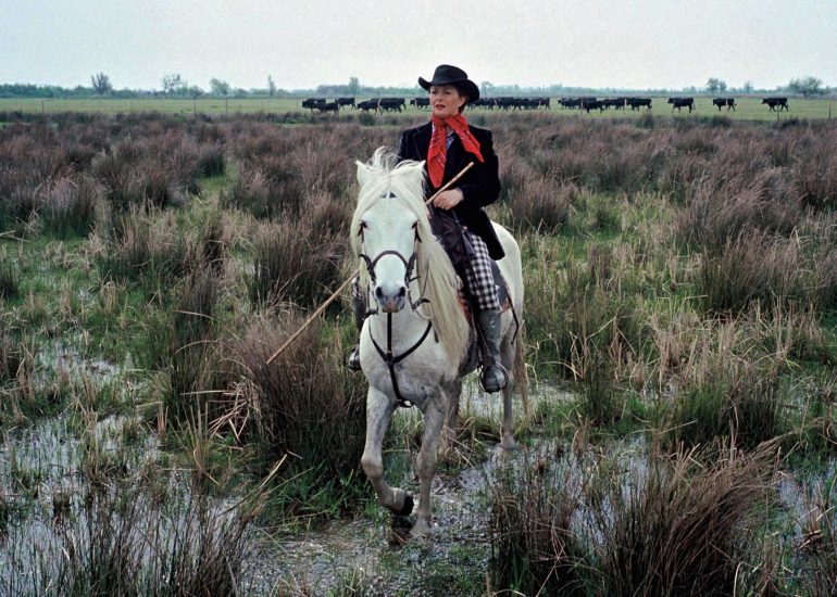 Olivier Martel - Provence - Camargue -Le pays d'Arles - Manade