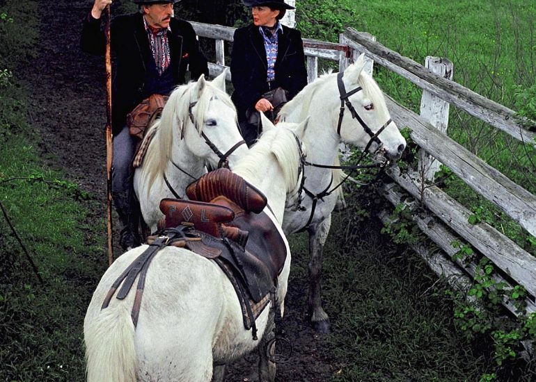 Olivier Martel - Provence - Camargue -Le pays d'Arles - Guardians