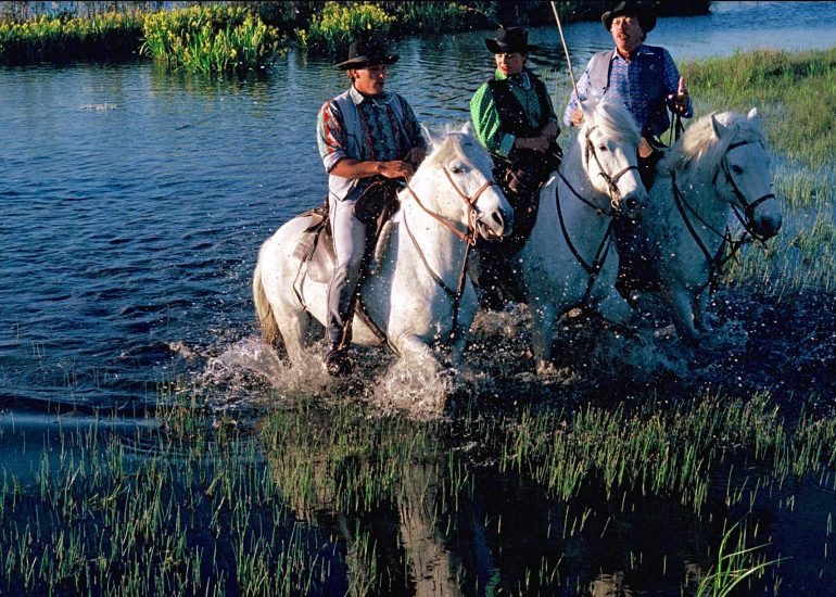Olivier Martel - Provence: Le pays d'Arles