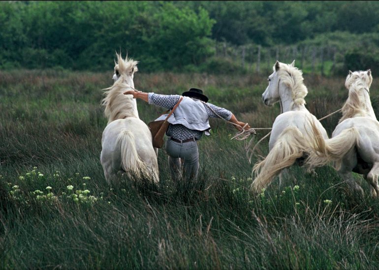 Olivier Martel - Provence: Le pays d'Arles