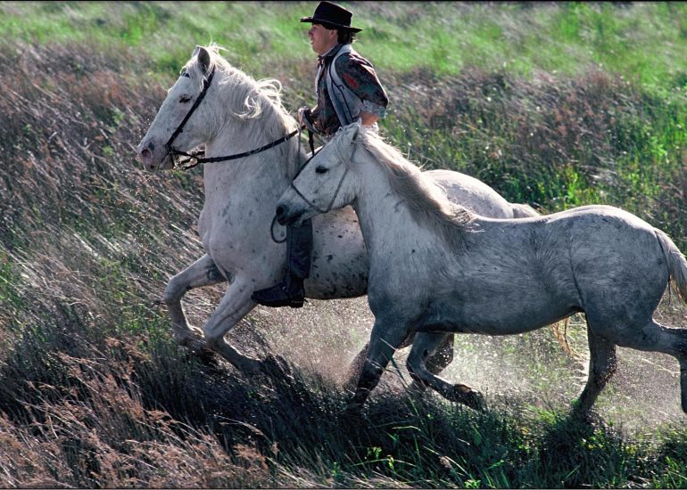 Olivier Martel - Provence: Le pays d'Arles
