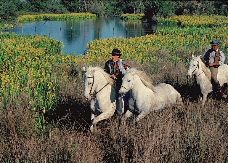 Olivier Martel - Provence: Le pays d'Arles