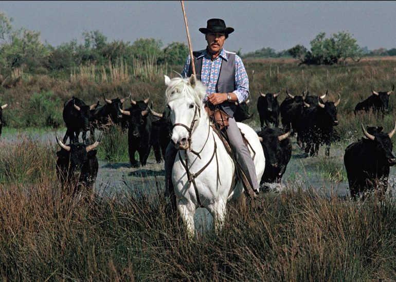 Olivier Martel - Provence: Le pays d'Arles