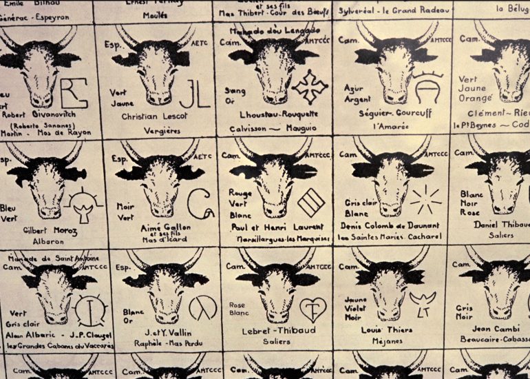 Olivier Martel - Manade Laurent, 