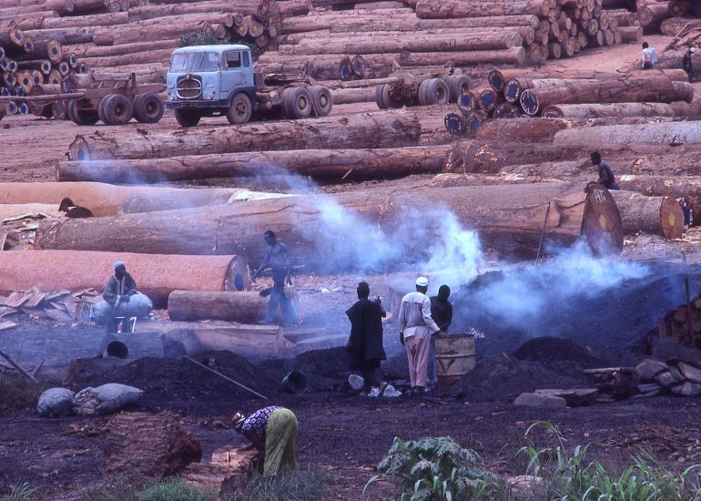 Côte d'Ivoire_San Pedro_sur la route des grumiers_charbon de bois_1996