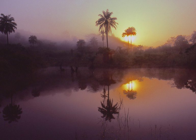 Côte d'Ivoire_Region de Man_Touba_mare aux crapauds buffles_1996