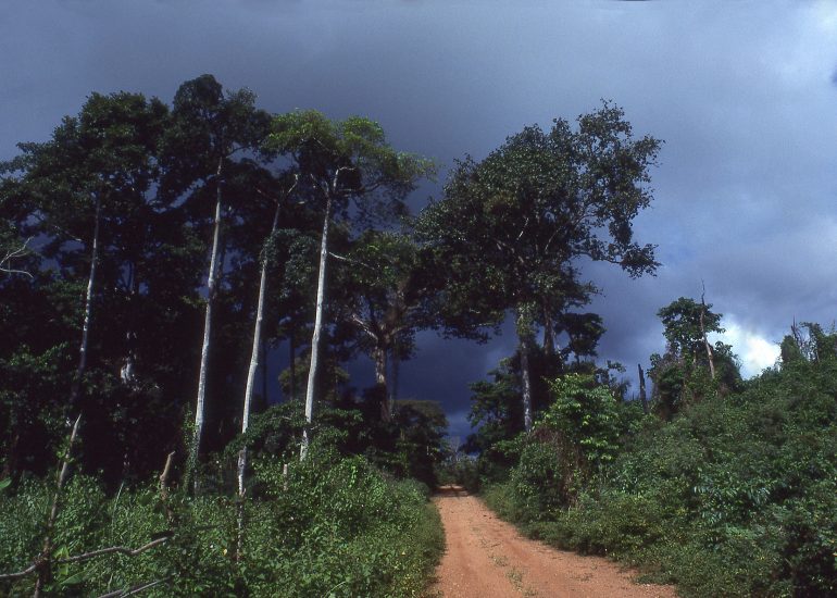Côte d'Ivoire_Region Agni