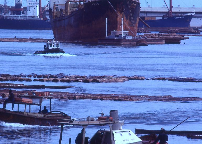 Côte d'Ivoire_San Pedro_Remorqueurs aux abords des bateaux avant chargement