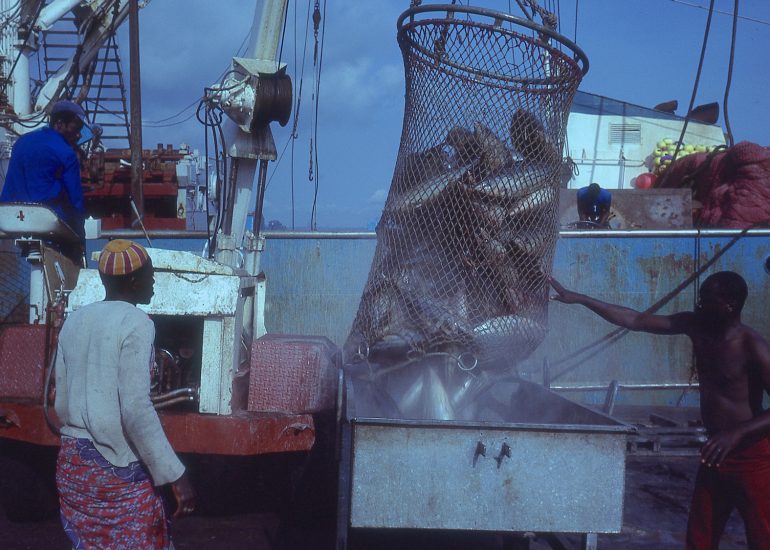 Côte d'Ivoire_Port autonome d'Abidjan_chargement du thon