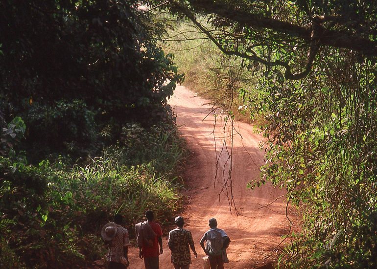 Côte d'Ivoire_Village de Kangandissou_region Agni morofoue_ fin de journee ,retour des champs de manioc_Piste N'ziankpounou sur la route de Djorossou
