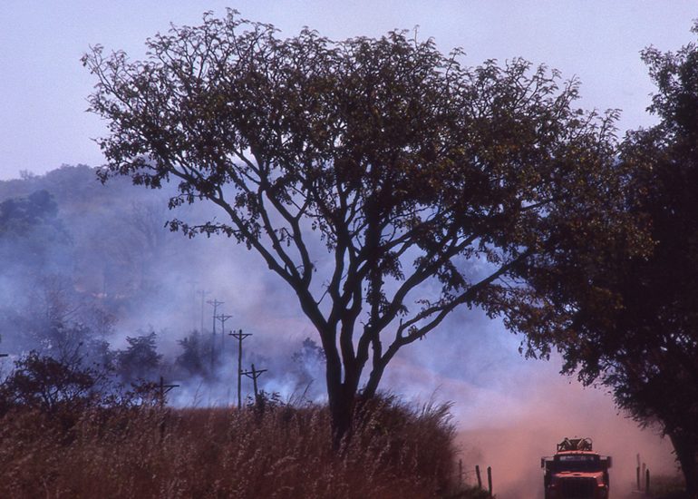 Côte d'Ivoire_Region de Man_feu de brousse