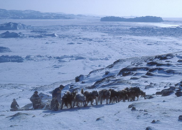 Groenland – Le glacier Jakobshavn