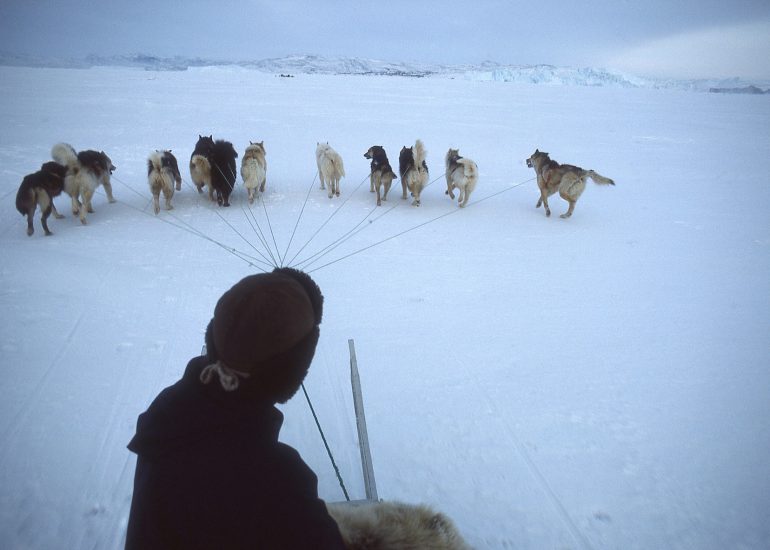 Groenland – Le glacier Jakobshavn