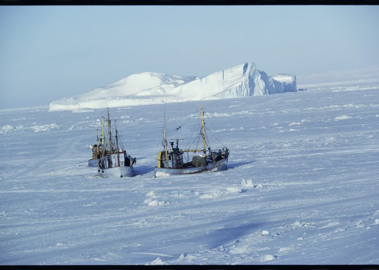 Groenland – Le glacier Jakobshavn