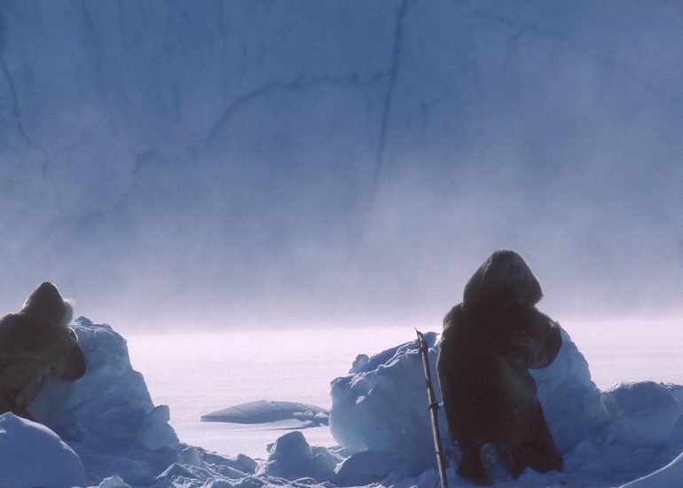 Groenland – Le glacier Jakobshavn