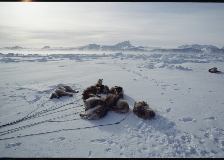 Groenland – Le glacier Jakobshavn