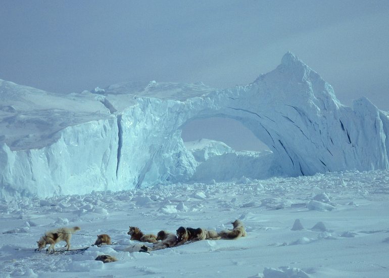 Groenland – Le glacier Jakobshavn
