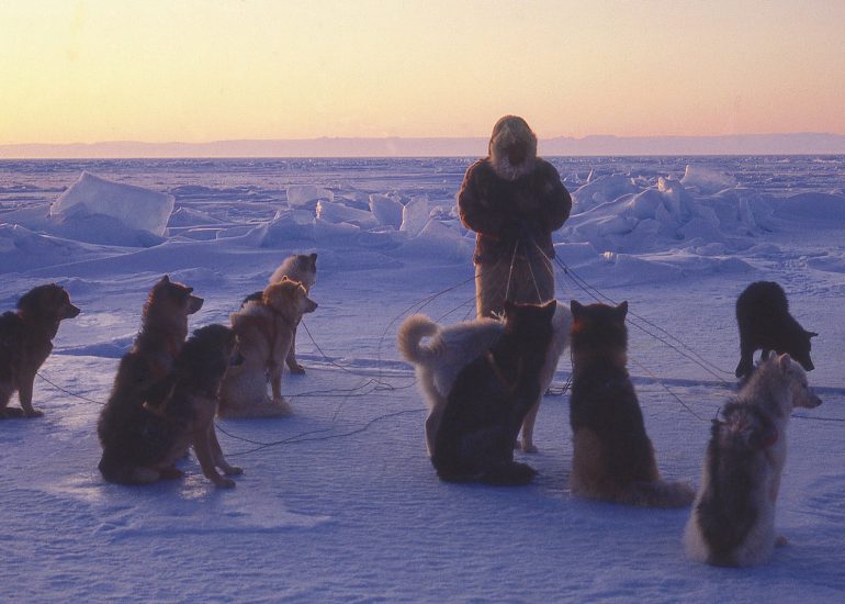 Groenland – Le glacier Jakobshavn