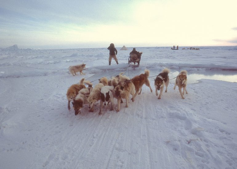 Groenland – Le glacier Jakobshavn